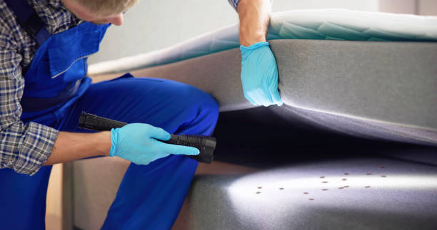 Best Commercial Pest Control Services  in Kissee Mills, MO