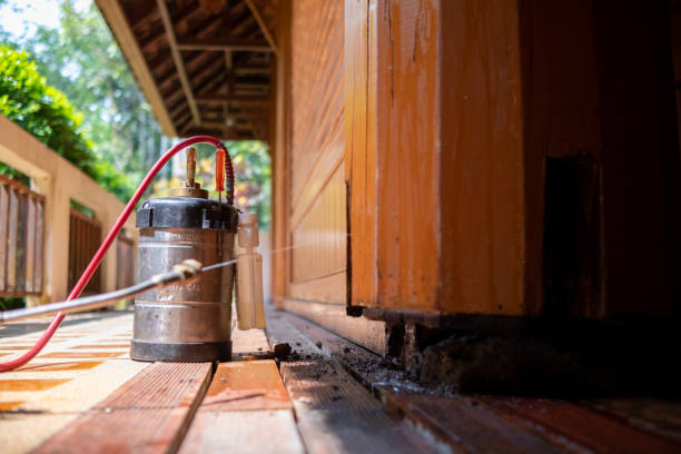 Best Local Pest Control Services  in Kissee Mills, MO